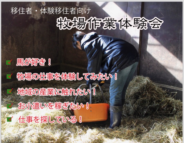 牧場作業体験会
